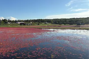 1906 State Rd 27, Exeland, WI 54835 - Photo 7