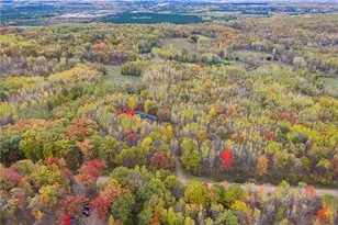 N8344 Champion Rd, Trego, WI 54888 - Photo 49