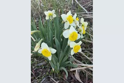 1213 2nd Street, Chetek, WI 54728 - Photo 43