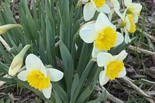 1213 2nd St, Chetek, WI 54728 - Photo 43