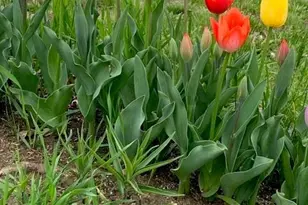 1213 2nd St, Chetek, WI 54728 - Photo 45