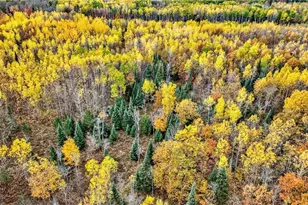 1495 Bain Rd, Brule, WI 54820 - Photo 45