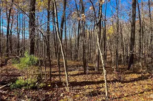 8264 Ochu Rd, Hayward, WI 54843 - Photo 55