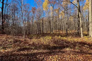 8264 Ochu Rd, Hayward, WI 54843 - Photo 53