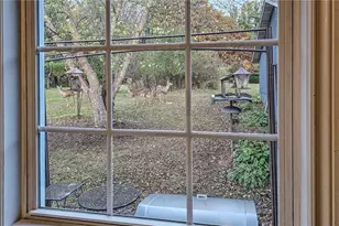 619 Rose St, Black River Falls, WI 54615 - Photo 27