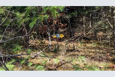 5505 Ham Holly Drive, Stone Lake, WI 54876 - Photo 29