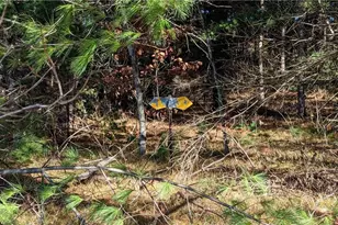 5505 Ham Holly Dr, Stone Lake, WI 54876 - Photo 29