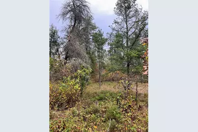 13421 S Simms Lake Road, Gordon, WI 54838 - Photo 11