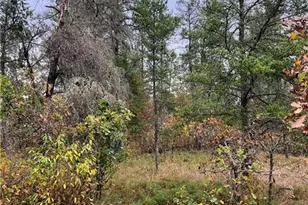 13421 S Simms Lake Rd, Gordon, WI 54838 - Photo 11