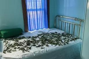 2038 4th Ave, Chetek, WI 54728 - Photo 7