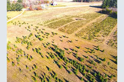 W13090 Shady Glen Rd., Hixton, WI 54635 - Photo 41