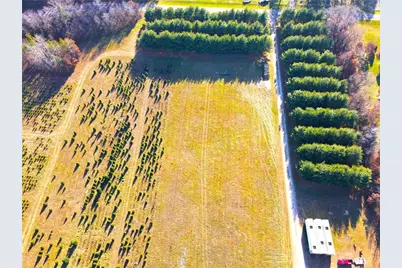 W13090 Shady Glen Rd., Hixton, WI 54635 - Photo 43