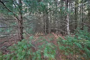 624 Pine St, Grantsburg, WI 54840 - Photo 39