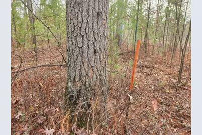 N10321 County Road K, Merrillan, WI 54754 - Photo 7