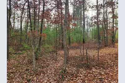 N10321 County Road K, Merrillan, WI 54754 - Photo 9