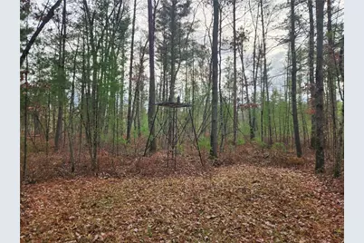 N10321 County Road K, Merrillan, WI 54754 - Photo 5