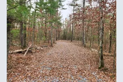 N10321 County Road K, Merrillan, WI 54754 - Photo 11