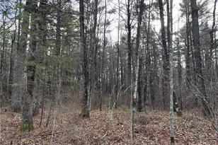 11497N Ursa Rd, Hayward, WI 54843 - Photo 49