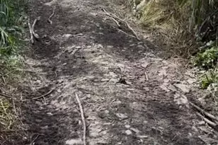 N850 Hamilton Falls Rd, Stanley, WI 54768 - Photo 23