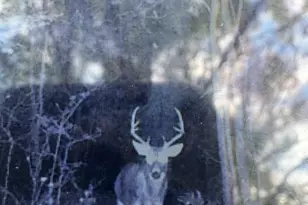 N850 Hamilton Falls Rd, Stanley, WI 54768 - Photo 21