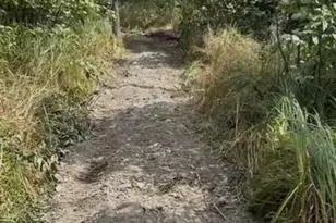 N850 Hamilton Falls Rd, Stanley, WI 54768 - Photo 25