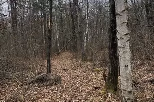 N850 Hamilton Falls Rd, Stanley, WI 54768 - Photo 23