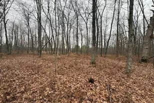 N850 Hamilton Falls Rd, Stanley, WI 54768 - Photo 11