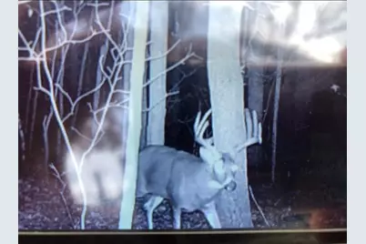 N850 Hamilton Falls Road, Stanley, WI 54768 - Photo 19