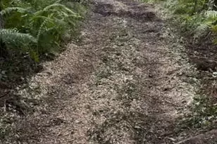 N850 Hamilton Falls Rd, Stanley, WI 54768 - Photo 13