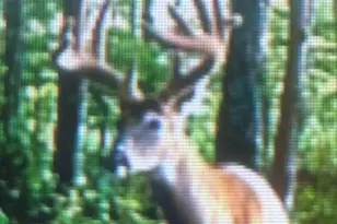 N850 Hamilton Falls Rd, Stanley, WI 54768 - Photo 9