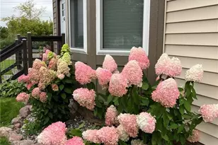 65 Lakeview Dr, Chetek, WI 54728 - Photo 41