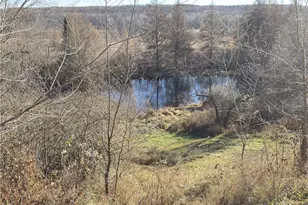 1816 300th Ave, Frederic, WI 54837 - Photo 13