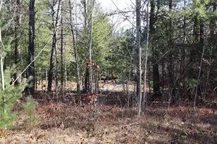 N8724 Lakeside Rd, Willard, WI 54493 - Photo 15