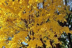 E6004 510th Ave, Menomonie, WI 54751 - Photo 9