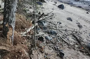 6856W Wolf Island Rd, Hayward, WI 54843 - Photo 21