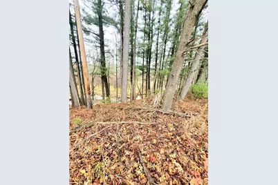 0 Lower Lake Dr, Merrillan, WI 54754 - Photo 17