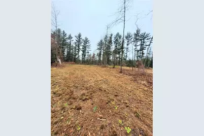 0 Lower Lake Dr, Merrillan, WI 54754 - Photo 15