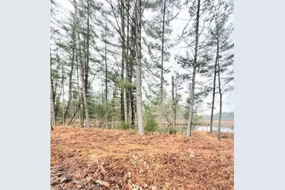 0 Lower Lake Dr, Merrillan, WI 54754 - Photo 39