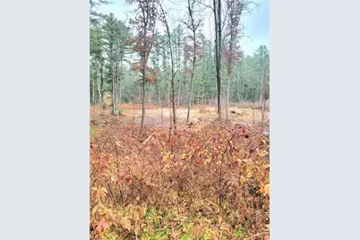 0 Lower Lake Dr, Merrillan, WI 54754 - Photo 19