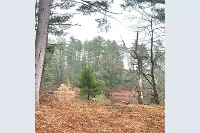 0 Lower Lake Dr, Merrillan, WI 54754 - Photo 47