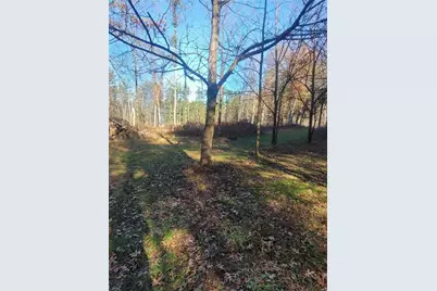 0 Lower Lake Dr, Merrillan, WI 54754 - Photo 11