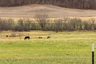 N24773 Washington Coulee Rd, Ettrick, WI 54627 - Photo 41
