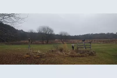 N12690 County G, Osseo, WI 54407 - Photo 5