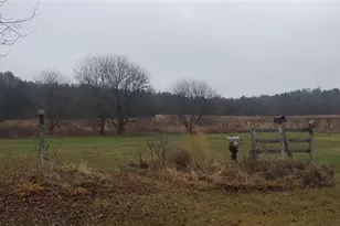 N12690 County G, Osseo, WI 54407 - Photo 5