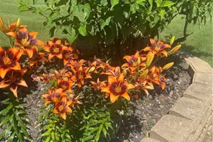 2061 10th Ave, Star Prairie, WI 54026 - Photo 49