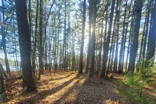 W10362 Lower Lake Dr, Merrillan, WI 54754 - Photo 53