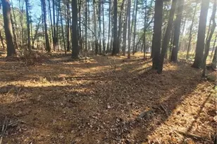 W10362 Lower Lake Dr, Merrillan, WI 54754 - Photo 51