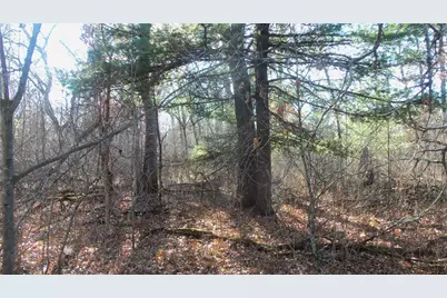 Lot 2 Ferry Rd, Grantsburg, WI 54840 - Photo 7