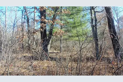 Lot 2 Ferry Rd, Grantsburg, WI 54840 - Photo 3