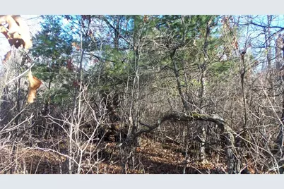 Lot 2 Ferry Rd, Grantsburg, WI 54840 - Photo 5